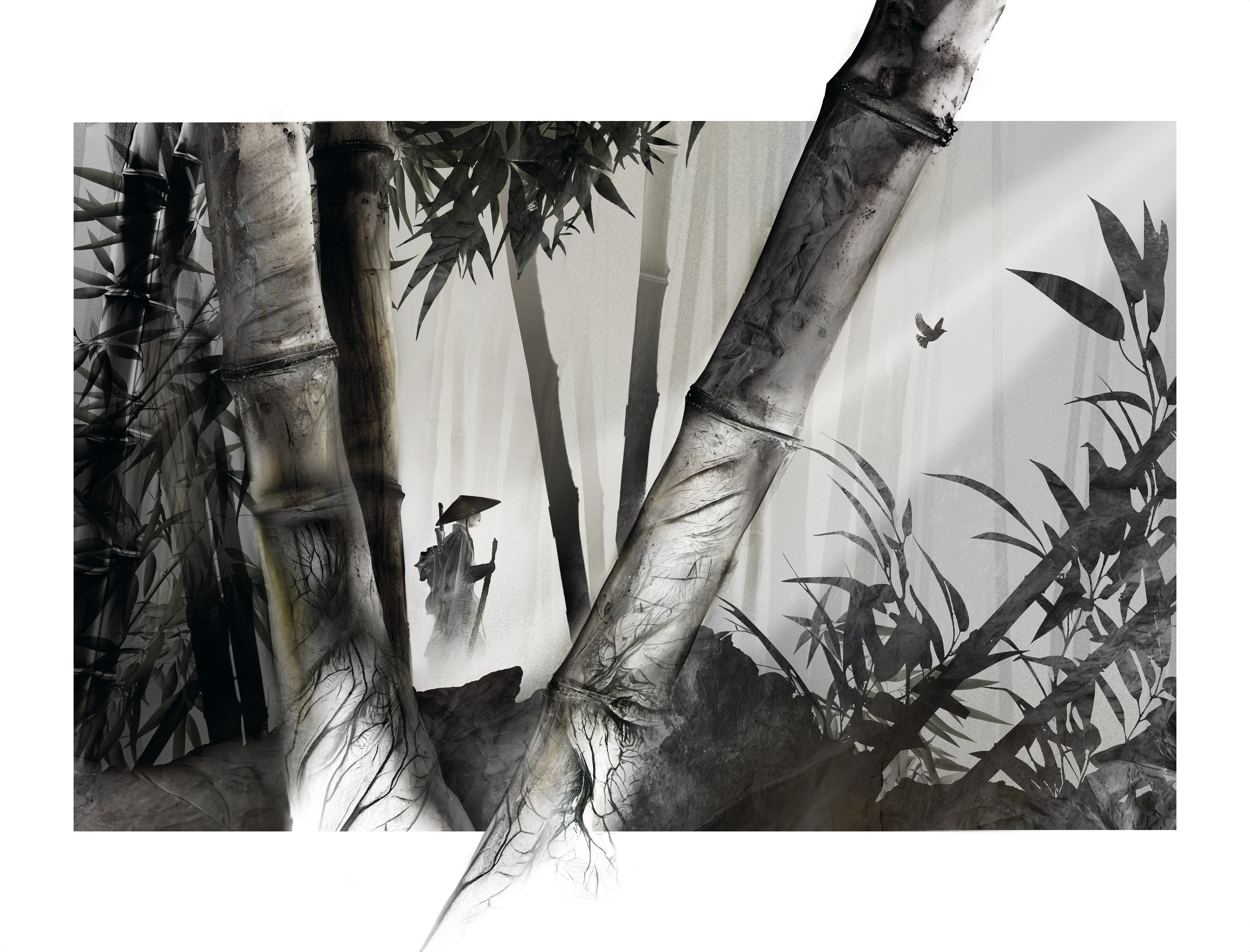 Asuka - Les marais noirs